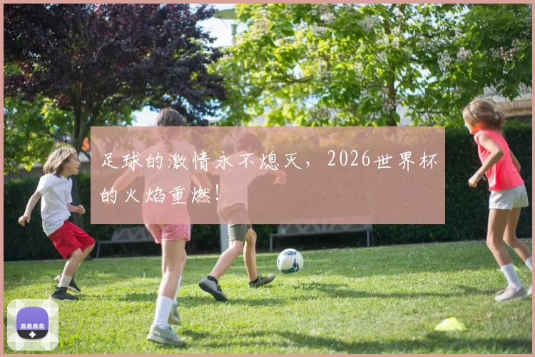 足球的激情永不熄灭，2026世界杯的火焰重燃！